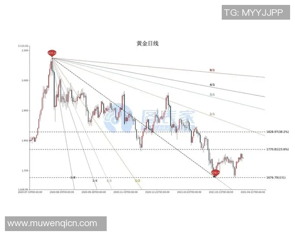 足球水晶盒球星卡的市场价格走势与投资潜力分析